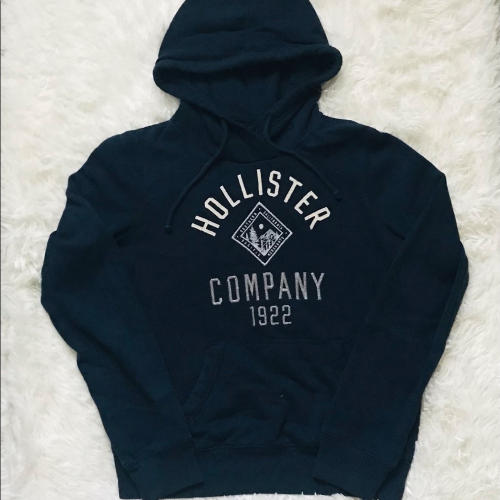 Hollister hoodie. New, no tears/ribs or holes.